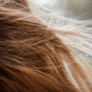 Cabello