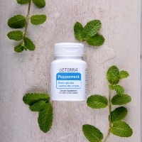 Complementos alimenticios
