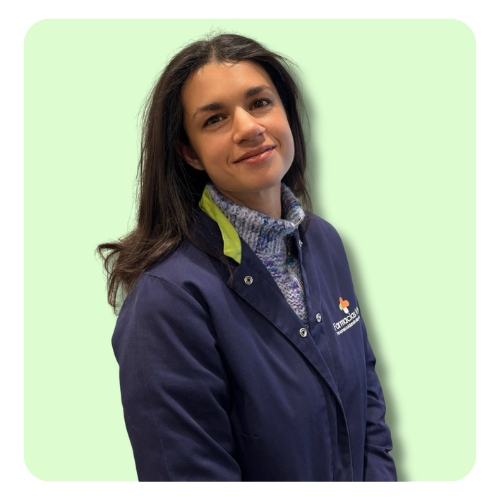 TÉCNICO DE VENTAS WEB